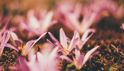 how to make a lucky amulet with your own hands