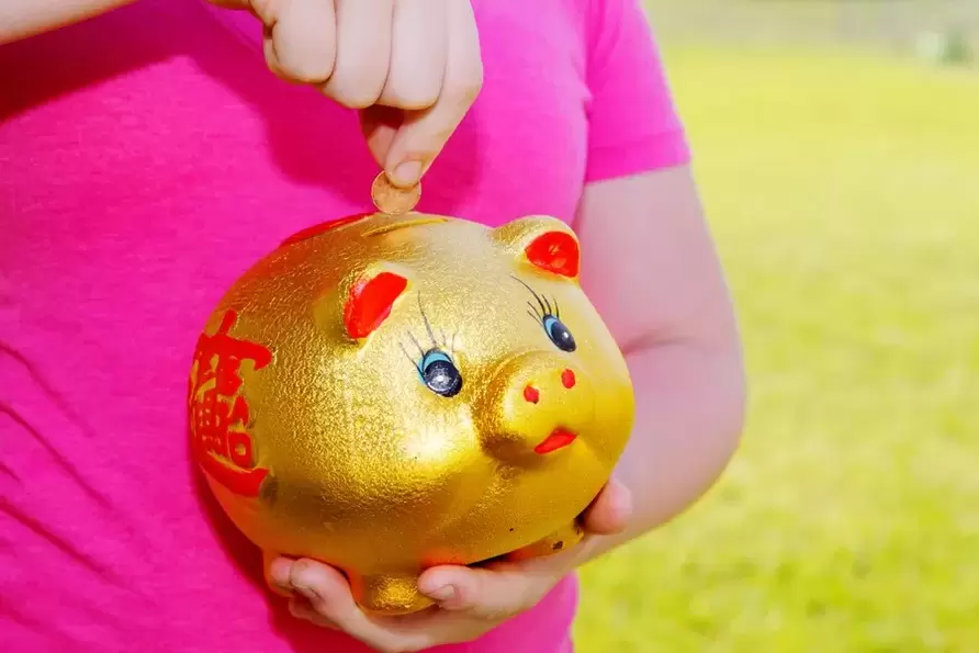 Lucky amulet - pig